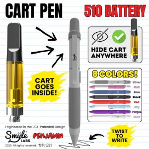 Penjamin Cart Pen hidden rechargeable 510 thread vape battery disguised as a writing pen